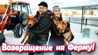 Дела хозяйские и ОБЗОР Нашей Фермы | Молодая Ферма