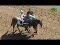 Carreras de Caballos 12 de Febrero 2023 en el Hipodromo de Hermosillo