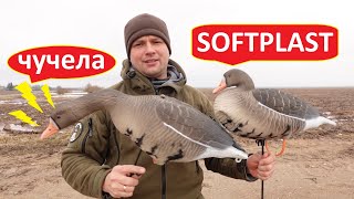 ЧУЧЕЛА ГУСЕЙ 3D SOFTPLAST БЕЛОЛОБЫЙ, подготовка к охоте на гуся 2024г.