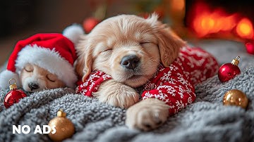 12 Uur Hond Kalmerende Muziek 🐶🎅 Slaapmuziek🎄Relaxatie voor Honden 🐕 Zonder Reclame