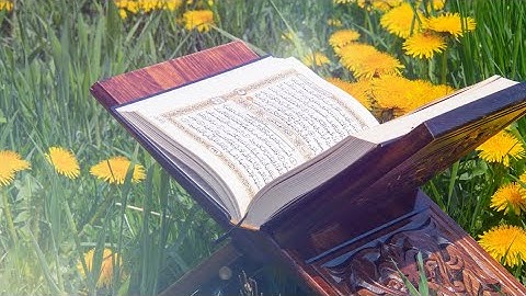 سورة البقرة كاملة بصوت الشيخ محمد مطار برواية ورش عن نافع 🤲sourate Al baqarah