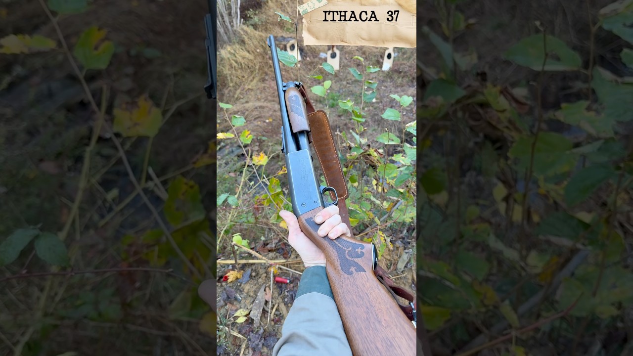 Итака 37 Зверобой