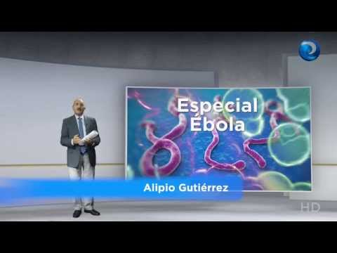 Video: Ébola: ¿Está tu perro en riesgo?