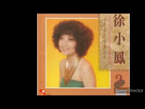 徐小凤演唱 - 爱你变成害你