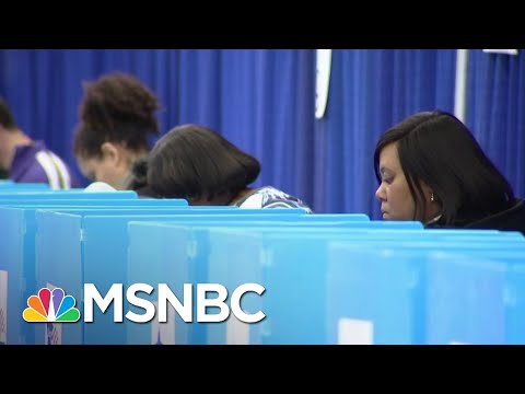 A Primary In The Time Of Coronavirus | Deadline | MSNBC