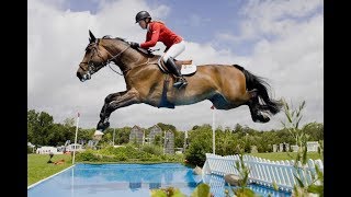 видео Кинологический спорт: активный отдых с собакой и его виды