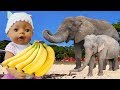 Baby Playing at the Zoo and Feeds Animals Video for kids