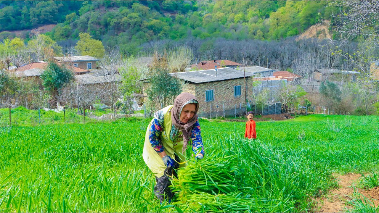 как живут люди в иранских деревнях _ деревенская жизнь в иране