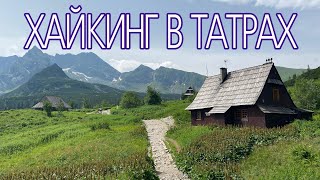 видео: Хайкинг в Татрах. Маршрут на один день. Maly Koscielec и Swinicka Przelecz картинка: Хайкинг в Татрах. Маршрут на один день. Maly Koscielec и Swinicka Przelecz