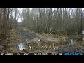 Nomaļa meža stiga (A secluded forest stint) ( Meža kameras (trail camera)