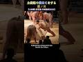 土俵脇で腕立てをする藤ノ川❗【大相撲 夏巡業 川崎場所2026】 Sumo