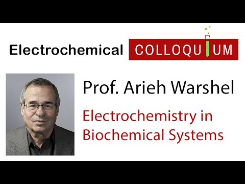 Arieh Warshel - Electrochemical Processes in Biochemical Systems