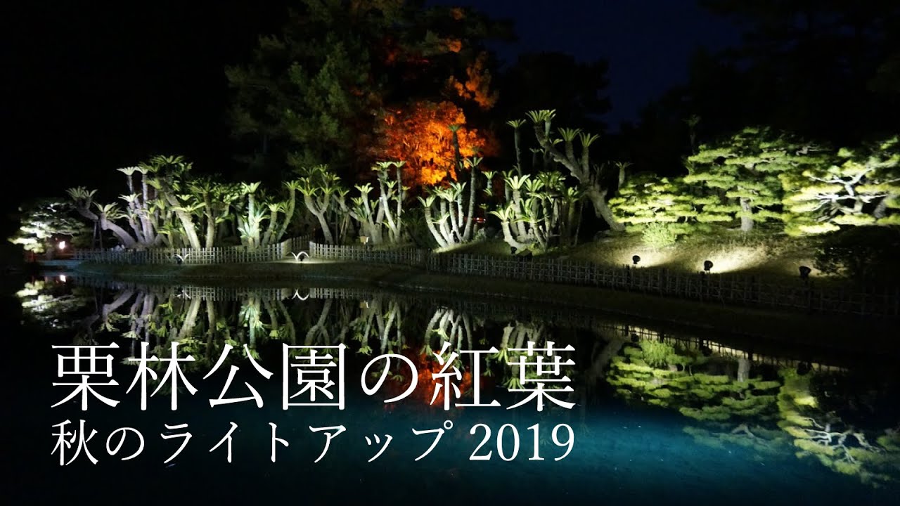 栗林公園の紅葉 秋のライトアップ 19年12月 Youtube