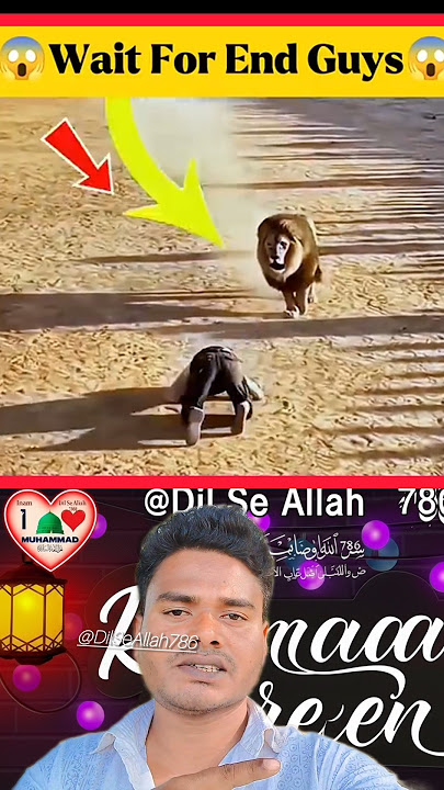 “Sajda Hua, Sher Ruk Gaya — Qudrat Ka Kamaal 🦁#Islamic #Shorts #AnimalShorts #Motivational