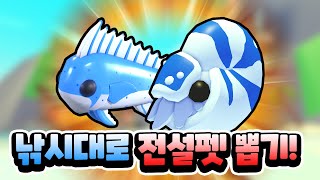 2.5프로의 전설펫을 낚시대로 뽑아볼게요