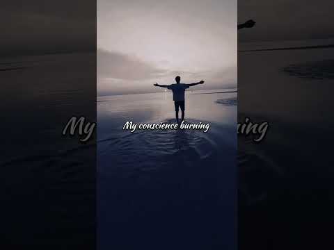 Famy Ava Slowed English Song WhatsApp Status Lyrics Video