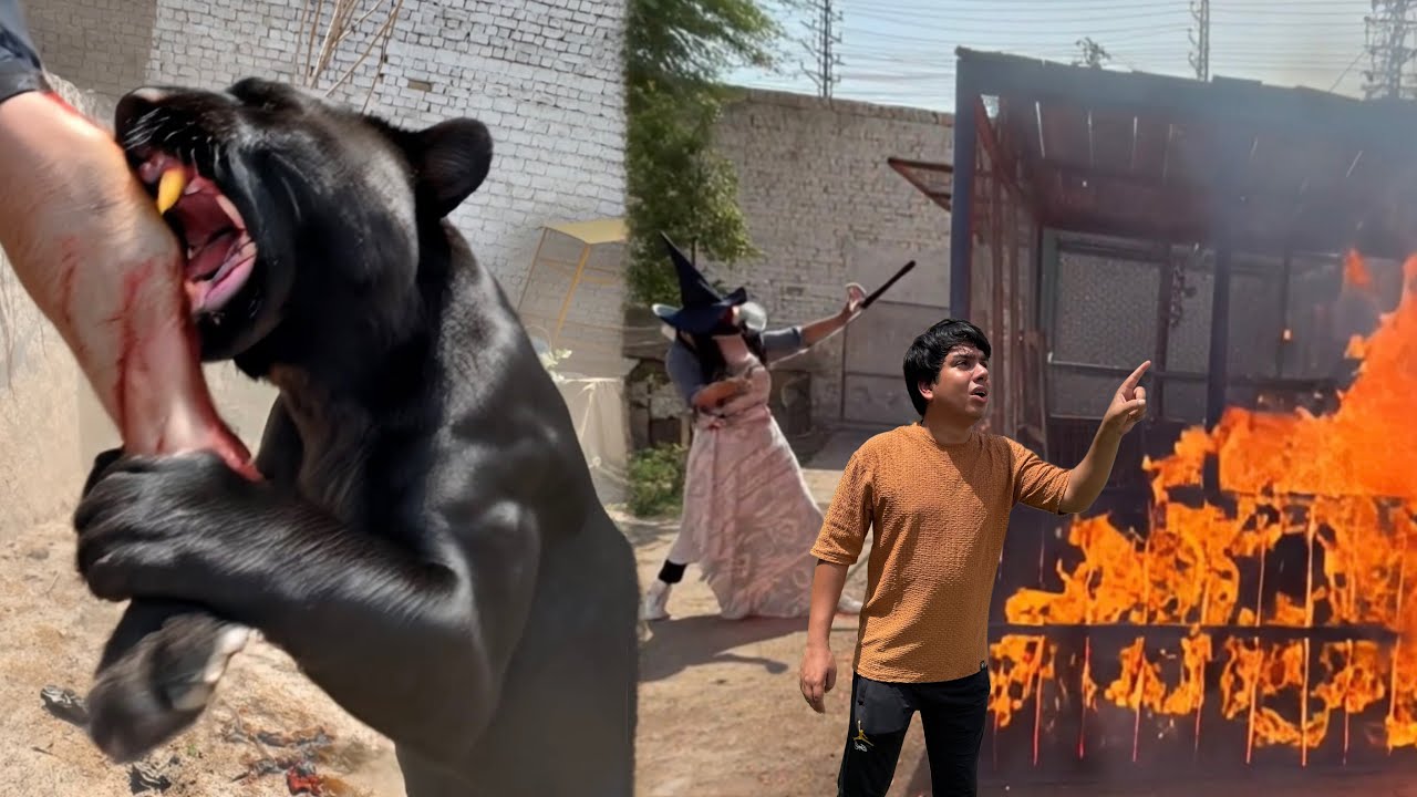 Zoo Mein Agg Laga Di JaduGar Ny 🔥 Waleed Pr Panther Ny Attack Kia 😨