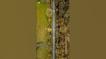 سوره الزمر الشيخ ياسر الدوسري