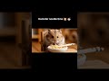 The tiniest noodle lover ever! 🐹🍜#hamster #hamstercute #hamstervideo #cuteanimals #animalasmr