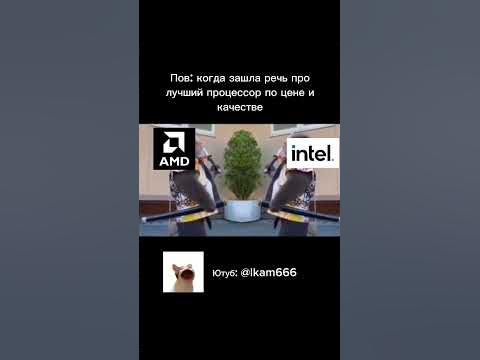 #мемы #мем #пк #процессоры - YouTube