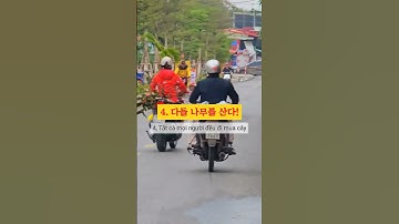 외국인이 본 베트남 설날의 신기한 점 7가지! Những điều thú vị về Tết ở Việt Nam qua góc nhìn của người nước ngoài