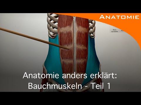 Video: Ist die Traktionskontrolle Teil der Bauchmuskeln?