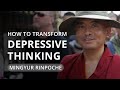 Living in a Pandemic: How to Transform Depressive Thinking - with Yongey Mingyur Rinpoche