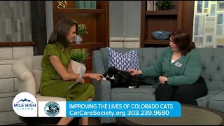 CCS on Mile High Living   Cat Health Month by Cat Care Society 157 views 2 months ago 5 minutes, 5 seconds