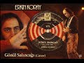 Gönül Salıncağı Erkin Koray Anadolu Rock Cover