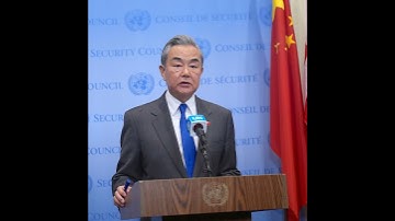 Chinese FM reaffirms commitment to multilateralism at UNSC meeting