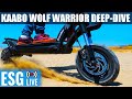 Kaabo Wolf Warrior Deep-Dive With Fluid Freerides CEO | ESG Live #37