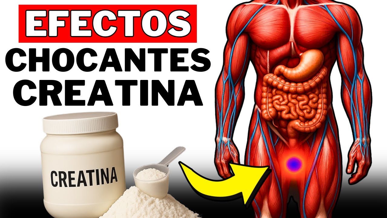 10 Cambios Corporales Que Notarás Al Tomar 5g de Creatina Diariamente Sin Perderte Ni Una Sola Dosis