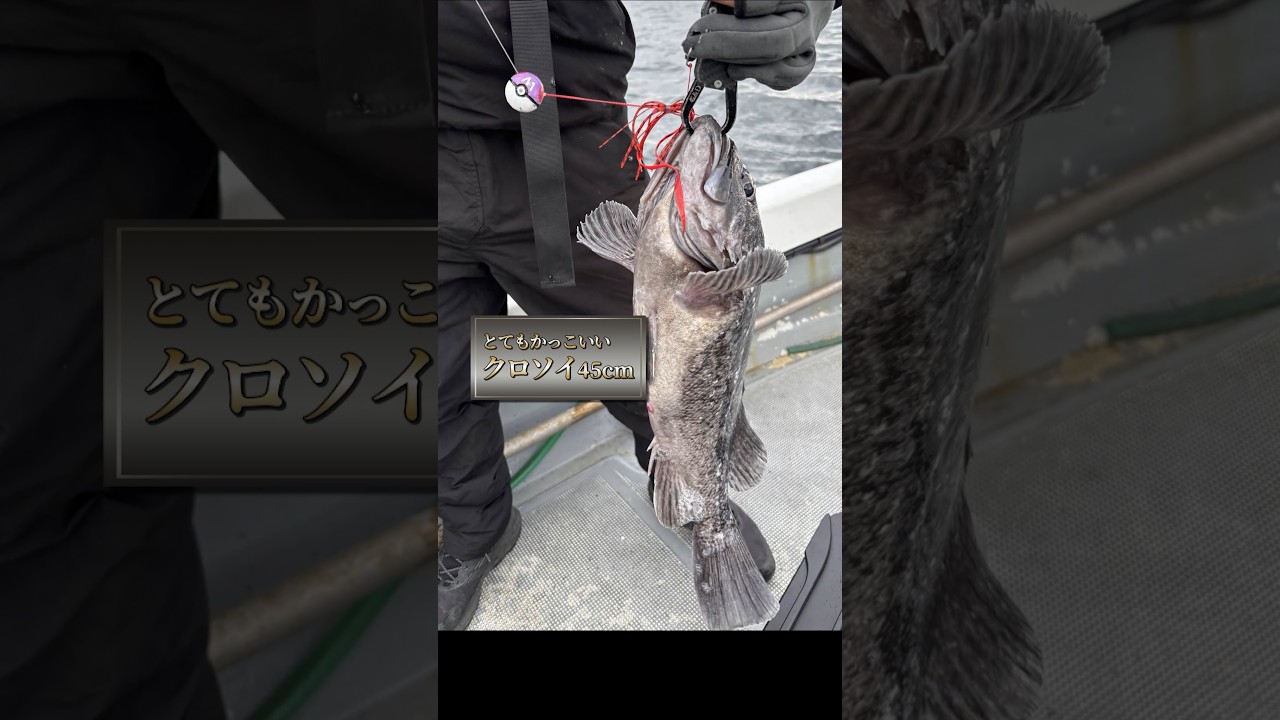 1発で魚を釣る必要がある時はこれを使う #ヘビさんのアウトドア日誌