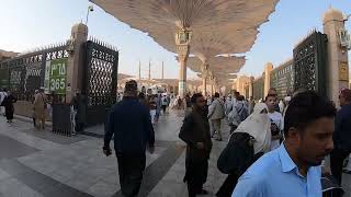 Entering Gate 365 ☂️🕌 #Gate365 #masjidnabawi #umbrellas #madinah #goldenhour #spiritualwalk #umrah screenshot 4