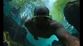 Ginnie Springs - March 2023