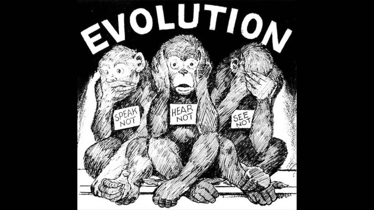 Scopes Monkey Trial YouTube