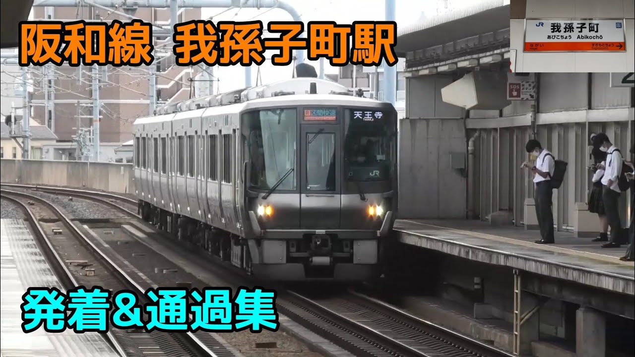 阪和線 我孫子町駅 発着&通過集