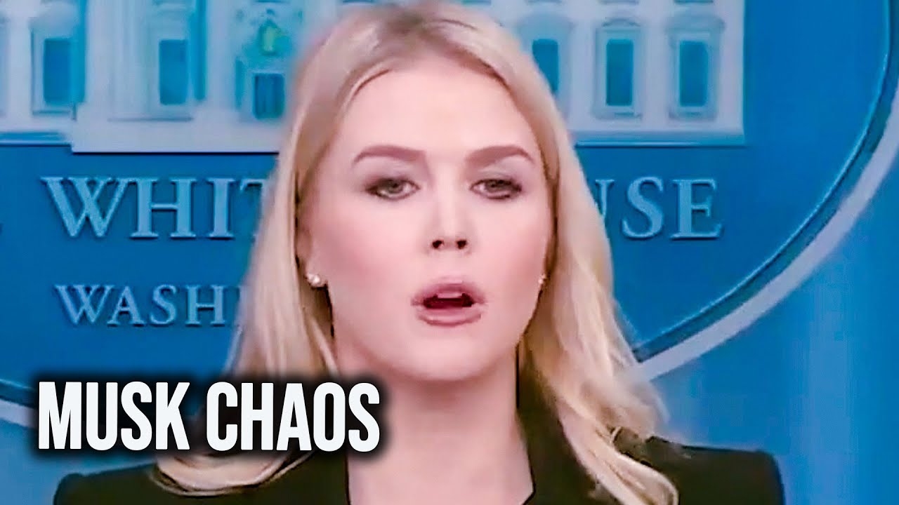 Trump press secretary stuns entire room with disastrous elon musk admission