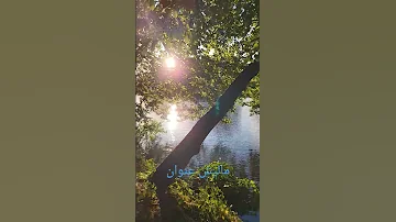 أصل التفاصيل أجمل بكثير بوجودك فيها أنا منغيرك بتوه توهان انا منغيرك ماليش عنوان 