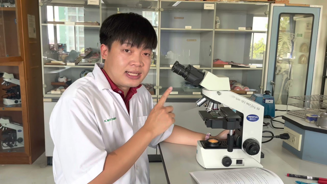 Micrometer การวัดขนาดจุลินทรีย์ด้วย Micrometer #micrometer