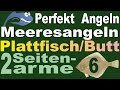 Perfekt Angeln - Plattfischangeln TEIL 6 - Zwei Seitenarme. Erfolgreiche Montage für  Küstenangler.