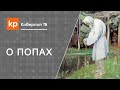 Поездки к старцам и предсказания. Поехали к старцу!