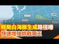 颱風、地震與極端天氣災情
