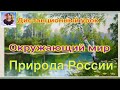 Урок по окружающему миру  "Природа России"