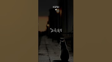 قران كريم بصوت القارئ ماهر المعيقلي |#قران_كريم #المصحف #الصلاة #الرحمن #قرآن #اسلام_صبحي