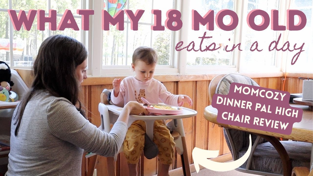 What my 18 month old eats in a day! | Momcozy Dinnerpal High Chair Review