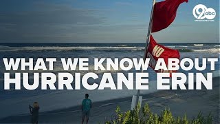 Hurricane Erin threatens east coast communities and wildlife screenshot 5