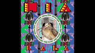 (bird meme) M.I.A. - Paper Birds (Western Screech Owl/American Woodcock)