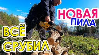 Спилил всё лишнее / Новая пила / Готовим участок к сезону