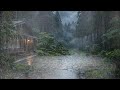 Late Night Rainstorm – Deep Sleep Ambience for Stress Relief and Emotional Recovery